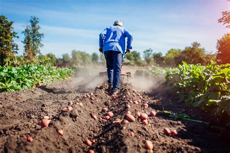 ﻿¿qué hace un trabajador agrícola en su carrera?