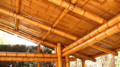 ﻿¿qué significa el término techo de bambú?