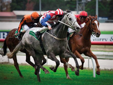 ﻿At yarışları için yapılan bahis: At Yarışı Bahis Siteleri At Yarışı Bahisi Türleri 