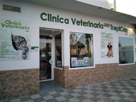 ﻿apertura de una clínica veterinaria