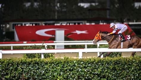 ﻿at yarışları için yapılan bahis: türkiye jokey kulübü (tjk) i