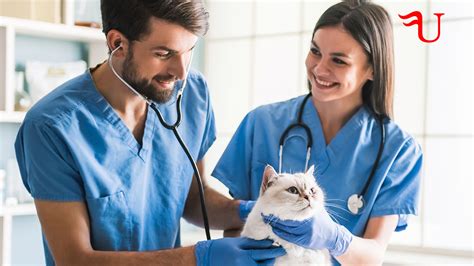 ﻿cómo convertirse en técnico veterinario en california