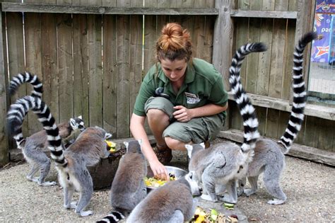 ﻿cómo convertirse en un cuidador de zoológico