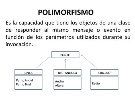 ﻿cómo explicar el polimorfismo en la entrevista
