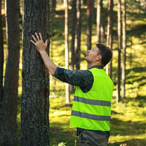 ﻿cómo tener una carrera de conservación forestey