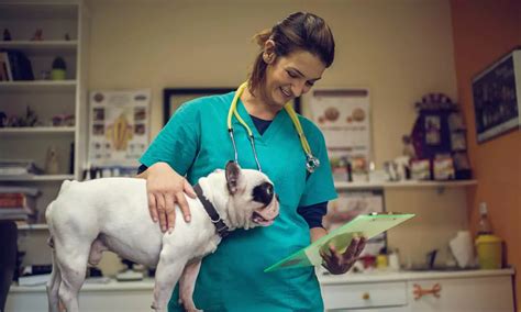 ﻿carreras para veterinarios más allá de la práctica privada