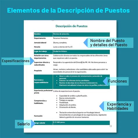 ﻿descripción del puesto de cosmetóloga: salario, habilidades y más