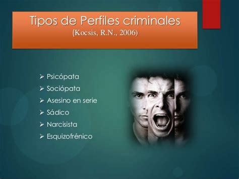 ﻿descripción del trabajo de perfiles criminales: salario, habilidades y más