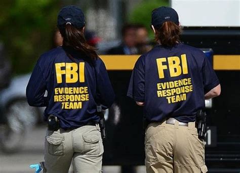 ﻿diferentes tipos de agentes del fbi