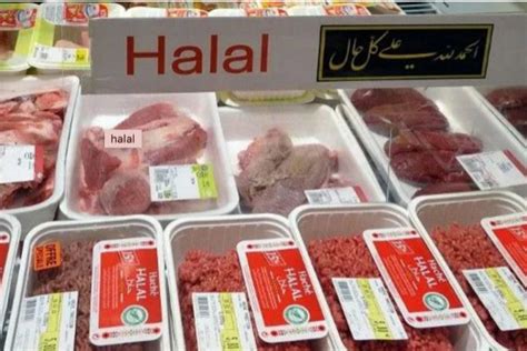 ﻿eliminación adecuada de sangre para carnicerías halal