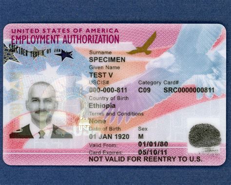 ﻿es la tarjeta de autorización de empleo una identificación válida