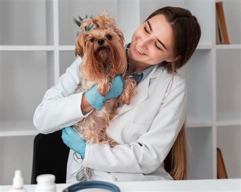 ﻿formación recepcionista veterinaria