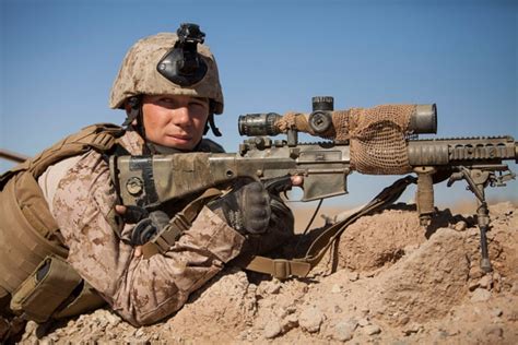 ﻿francotirador scout del cuerpo de marines mos 0317
