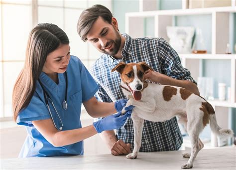 ﻿hacia dónde va la profesión veterinaria