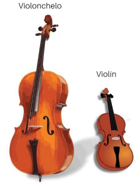 ﻿la diferencia entre violonchelo y bolsas de polietileno