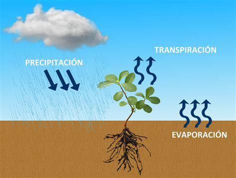 ﻿los efectos de la evaporación en la producción agrícola