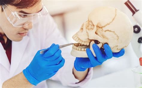 ﻿perfil de la carrera de odontología forense