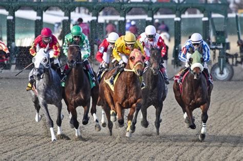 ﻿philadelphia horse racing bahis oranları: independiente racing club bahis oranları ve maç tahmini