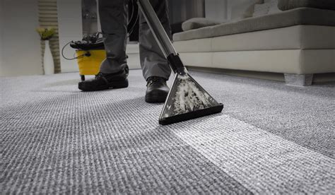 ﻿que profesión es la limpieza de alfombras