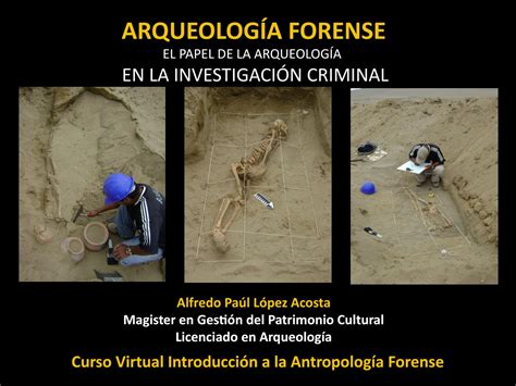 ﻿salario del arqueólogo forense