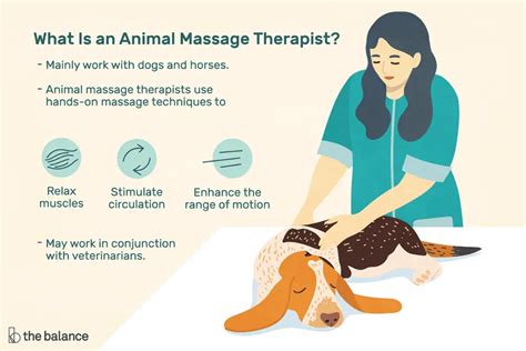 ﻿salario del terapeuta de masaje animal