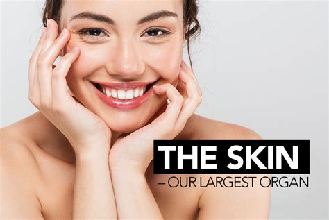 𝓸𝓵𝓲𝓿𝓲𝓪 on Instagram: "Skin is one of the largest organs of the body ...