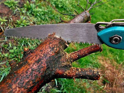 2024 🌲Craftsmanship in Tree Cutting Hand Tools🛠-marketplaceplus.shop