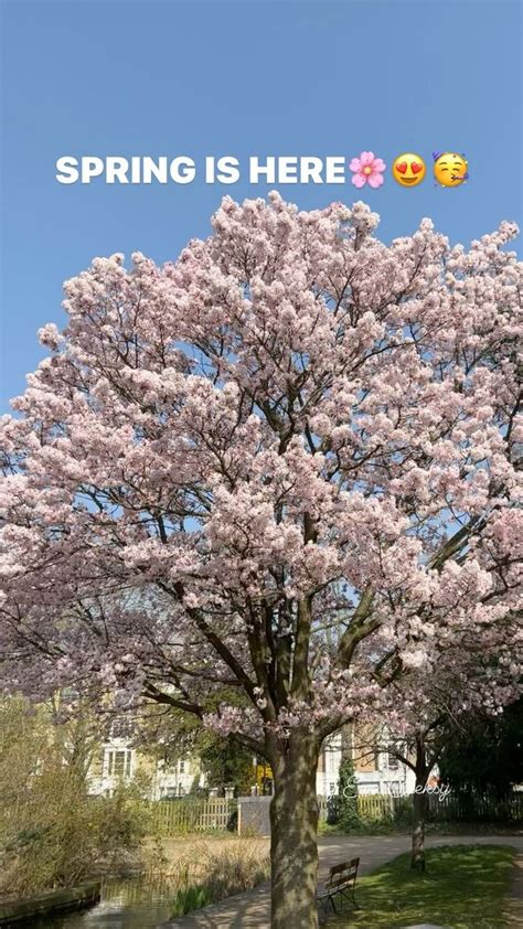 🌸👗👒 Spring is here and it