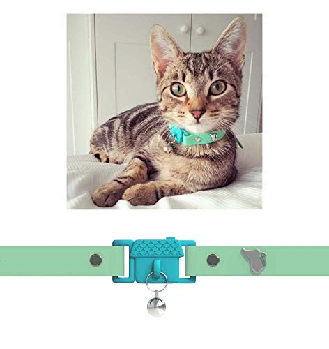 2024 🐱 Kittyrama Cat Collar: A Purrfect Accessory for Your Feline Friend 🐾-marketplaceplus.shop