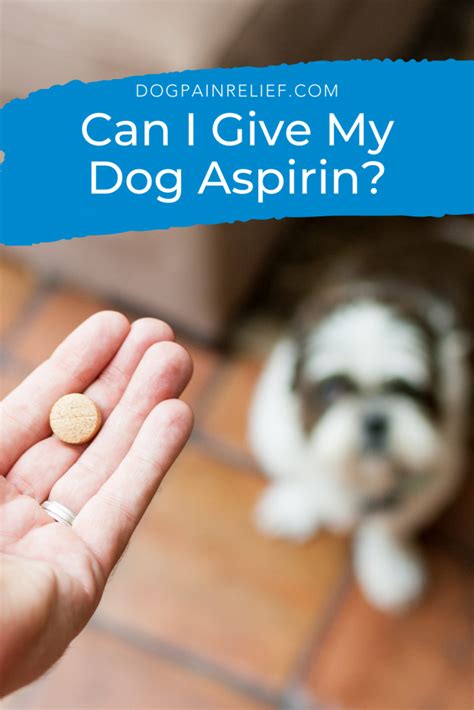 🐶 How Much Aspirin Can I Give My Dog Chart? [2024] - The ...