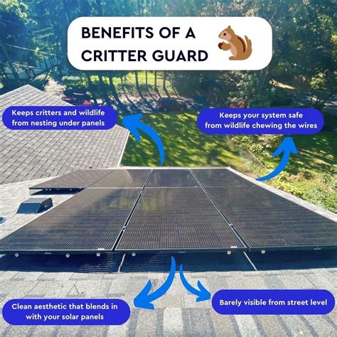 2024 🐿️SnapNRack Critter Guard: A Solution for Garden Pests!🌳-marketplaceplus.shop