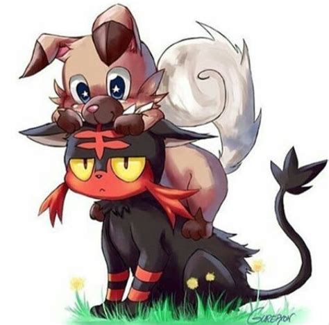 💖PokeShips💖 - Litten x Vulpix Alola - Wattpad