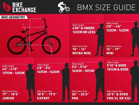 2024 🚗 BMX Bike Weight Charts: A Comprehensive Guide 💪-marketplaceplus.shop