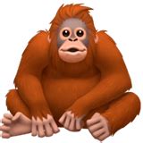 🦧 Orangutan emoji Meaning Dictionary.com