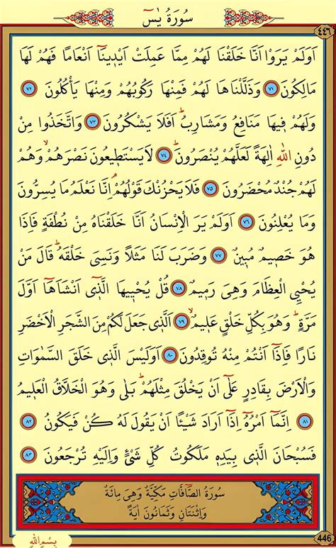 (Sayfa:6) Saksı Çiçekleri Ev İçin Saksı Çiçek Çeşitleri Taze Çiçek.