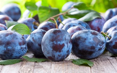  Ковокии Purple Fruits