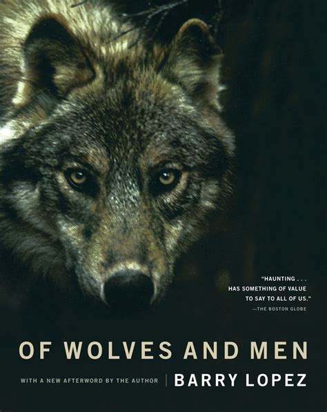  Слот Book Of Wolves