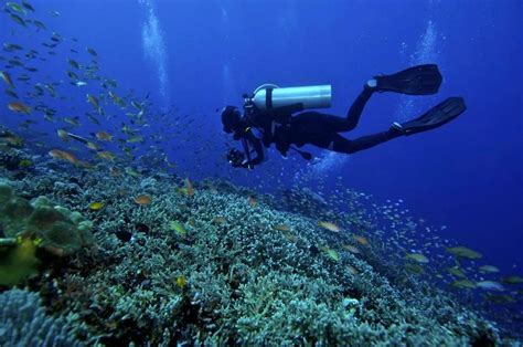  马来西亚哪边的潜水最好？