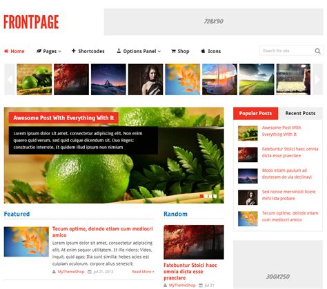   Themes bieten oft vorgefertigte Frontpage-Layouts