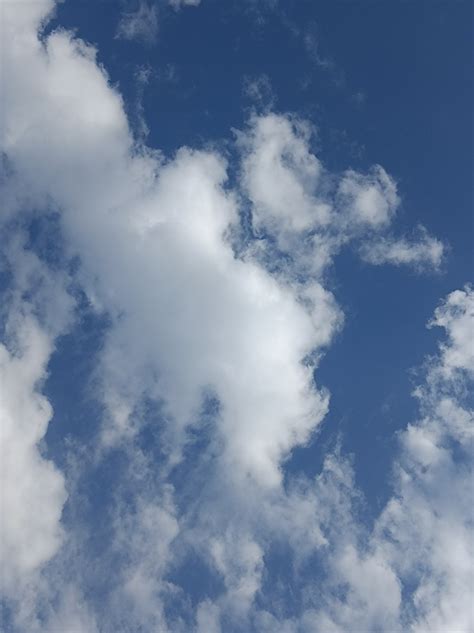 +800 Ücretsiz Mesaj ve Doğa Görseli Pixabay.