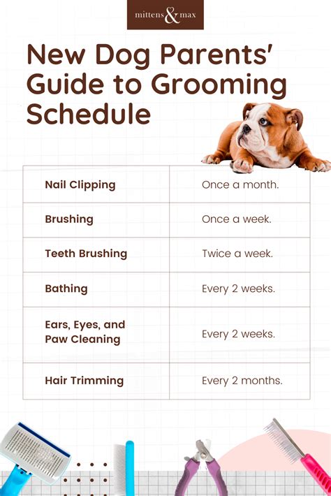  A 6 to 8 week grooming schedule is required to help prevent knots or matting