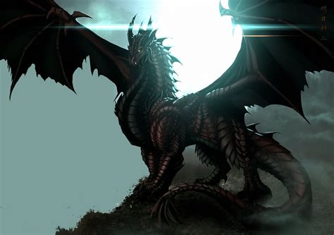  A black dragon king is better than other dragons