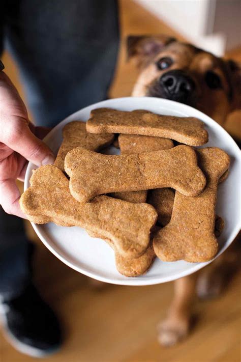  A cupboard or a pantry, for instance, are great places to store your dog treats