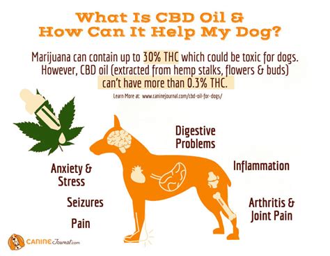  A decrease in pain and an increase in activity can dramatically change the life of your dog… and you! CBD has been shown to reduce symptoms of neurological issues in dogs