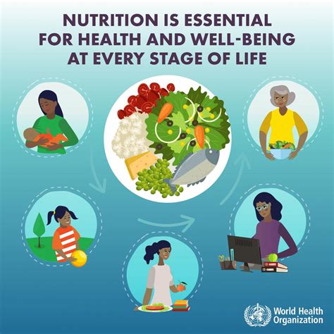  A diet that meets these life-stage needs is essential for proper development and health maintenance