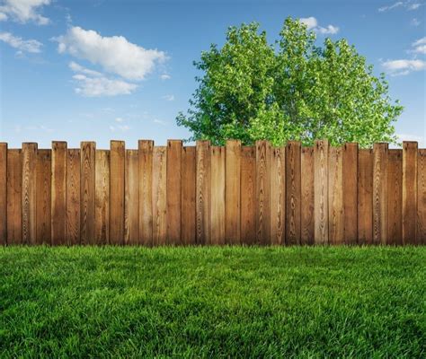  A fenced yard would be great but isn