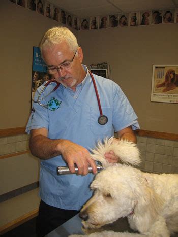  A full veterinary health assessment was performed fortnightly by a blinded veterinarian