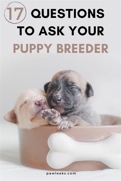  A good breeder will always question prospective new parents to make sure they will be suitable for their puppies
