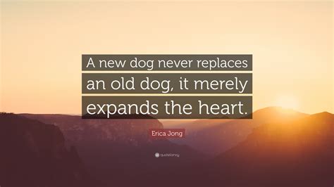  A new dog never replaces an old dog