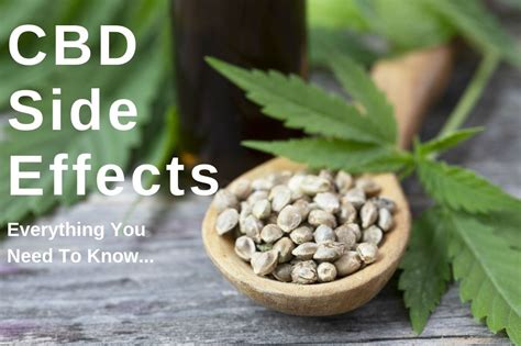  A pet that is given an amount that is too large can experience CBD side effects that range from minor to more severe